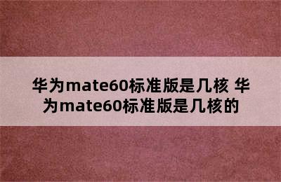 华为mate60标准版是几核 华为mate60标准版是几核的